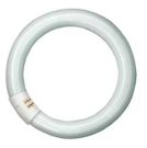 Philips 84055100 fluorescent lamp Master TL-E 32W 865 1CT/12