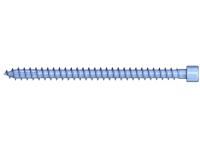 Reisser 0V9294S121-0803009-1 HBS full thread screw cylinder head, TX, compressor, ETA, 8.0 x 300, steel, galvanized, blue, 1x sliding, pack of 50
