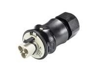 Wieland 96.022.0050.8 RST20I2F S23ZR1SVL KG06 plug part