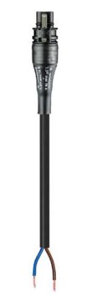 Wieland 96.222.0534.1 RST20I2K1-S315 05SW Assembled cable