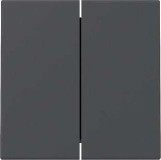 Gira 329528 2f Sys.55 anthr rocker