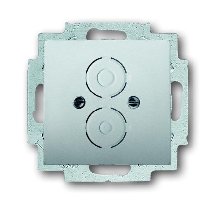 Busch-Jaeger 1750-866 central plate, with support ring stainless steel