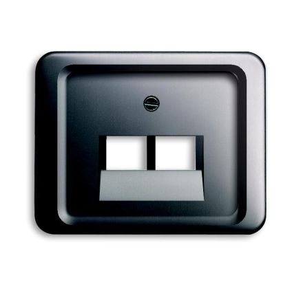 Busch-Jaeger 1803-02-20 central plate, 2-way platinum