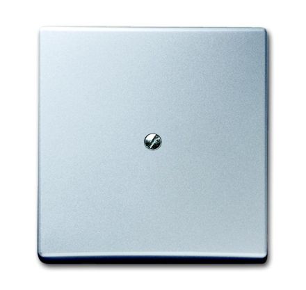 Busch-Jaeger 2138-33 blind central plate, with support ring aluminum silver