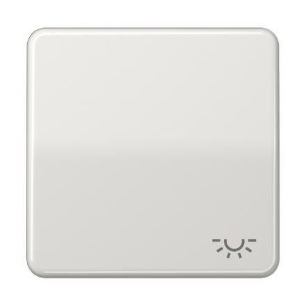 Jung CD590LLG rocker switch 1-way, symbol light, Duroplast, CD series, light grey