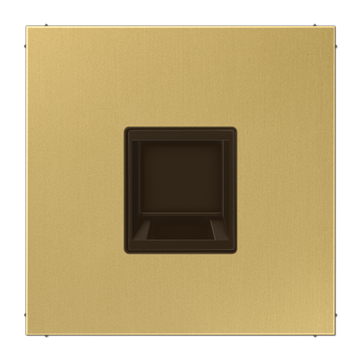 Jung ME1969-1WEC cover (latched) for modular jack sockets 1-way, UMA-CAT6A, RADIALL, Panduit, Assmann, brass, LS series, brass classic