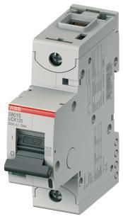 ABB Stotz-Kontakt S801S-UCK13, high-performance circuit breaker 13A,K,250VDC=Icu 50kA,1P, 2CCS861001R1447