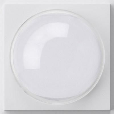 Gira 141566 Cover colour camera Gira TX_44 pure white