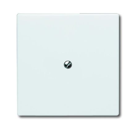Busch-Jaeger 2138-34 blind central plate, with support ring alpine white