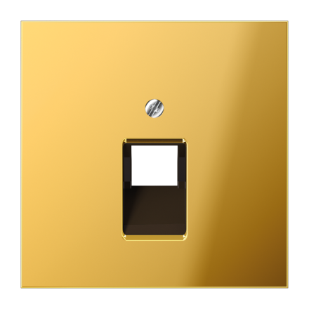 Jung GO2969-1UA cover for IAE/UAE connection boxes 1 x 8-pin, metal gold-coloured PVD-coated, LS series, gold-coloured