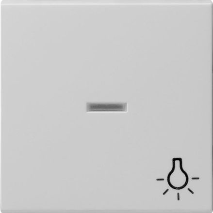 Gira 0674015 Control+Symb. Light Sys 55 gr rocker