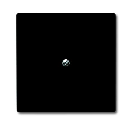 Busch-Jaeger 2138-35 blind central plate, with support ring anthracite