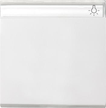 Gira 029927 rocker labelling field System 55 pure white matt
