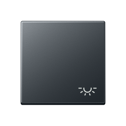 Jung A590BFLANM rocker switch 1-way, symbol light, thermoplastic lacquered, series A, anthracite matt