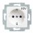 Busch-Jaeger 20 EUCQ/DV-214 SCHUKO® socket insert, with imprint 'EDV' alpine white