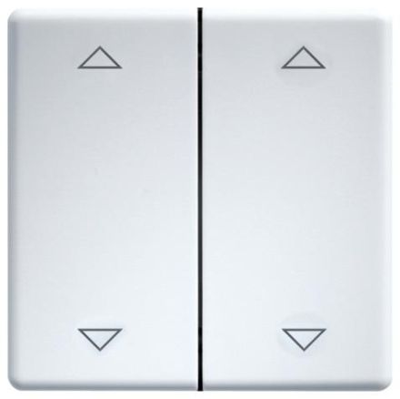 Eltako 30000985 DW-FT55-wg+2P double lasergr pure white gl rocker