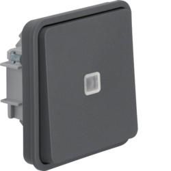 Berker 50463525 push button insert, changeover, illuminated AP/UP grey, matt Berker W.1