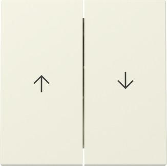 Gira 329401 2f arrow Sys.55 cws rocker