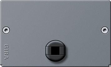 Gira 135828 end cap profile 55 grey