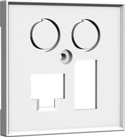 HomeWay TV + LAN/TAE Future linear black central plate