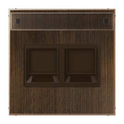 Jung ME1969-25NAWEAT cover (latched) for modular jack sockets 2-way, EMT, AMP, MTRJ, with label field, brass, LS series, antique brass