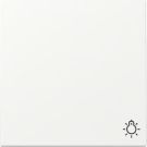 Gira 328527 Symb.Light Sys.55 rws with rocker