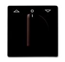 Busch-Jaeger 2142 DR-31 central plate, with rotary handle, with brown imprint