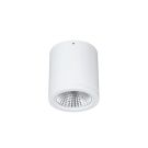 LTS BTNM 101.40.55 white Button Mini 100 16W 4000K 1200lm LED surface-mounted downlight conv ( 652455 )