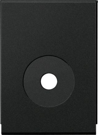 Gira 1065005 Ltg.einf.Sys 55 sw with adapter