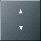 Gira 861628 arrow symbols System 55 anthracite rocker