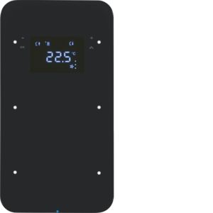 BERKER 75642065 Touch sensor glass R.1 | 2-way, temperature controller, not configured | black glass