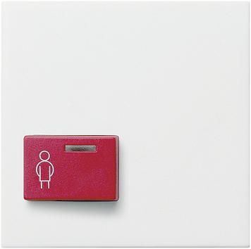 Gira 022903 cover Ackermann 73022 A2 System 55 pure white