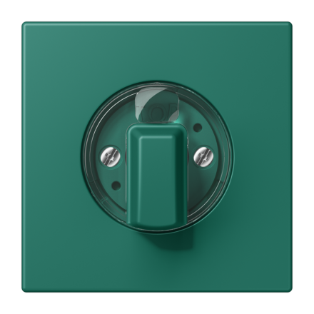 Jung LC1941216 cover for rotary switch, LS series, English green ( LC32040 )