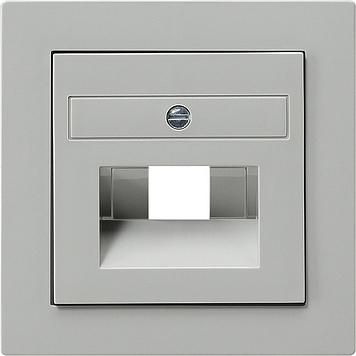 Gira 027042 cover UAE/IAE/ISDN S-Color gray