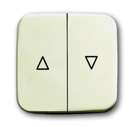 Busch-Jaeger 2504-212 rocker switch, with white print
