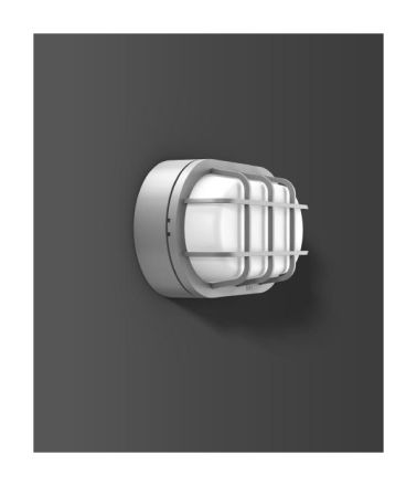 RZB 582064.004.1 Alu-Lux oval 12W 460lm 840 silver LED wall / ceiling light