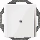 MERTEN 296319 Central plate polar white glossy System M