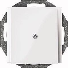 MERTEN 296319 Central plate polar white glossy System M