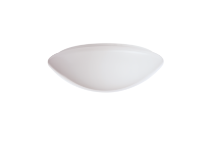 Ridi Leuchten 0420783 RUFO-ECO 390/2500-830 LED wall / ceiling light