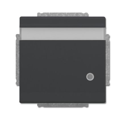 Busch-Jaeger 20 EUKNBL-81 SCHUKO® socket insert, with hinged lid, labelling field and LED control light anthracite
