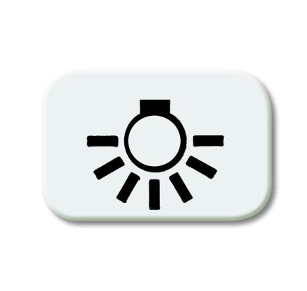 Busch-Jaeger 2525 LI-214 button symbol, 'light' alpine white