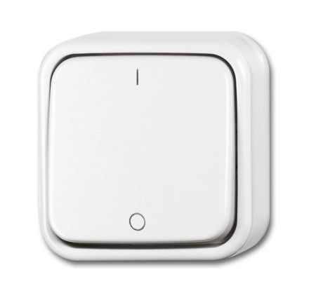 Busch-Jaeger 2601/2 AP/11W-503 rocker switch, 2-pole, off switch alpine white