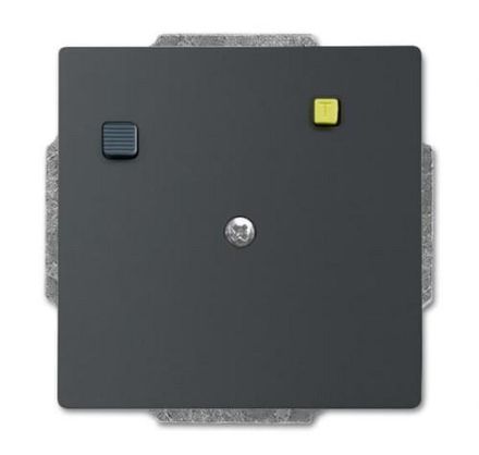 Busch-Jaeger 2CKA003117A0013 3151 UC-885 Buschmat-FI black matt flush-mounted insert