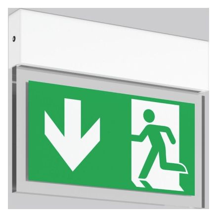 RZB 671744.002.1.07 Ceiling Halyxx LED3.1W-4000 LED emergency light