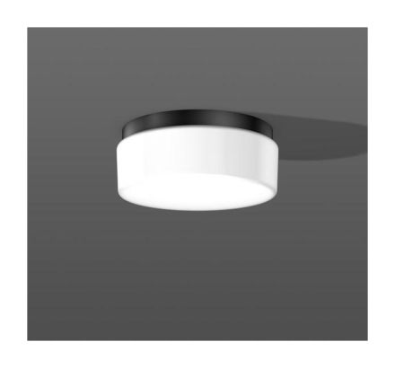 RZB 21171.003 Opal Circle A60 100W E27 D280 H120 wall / ceiling light