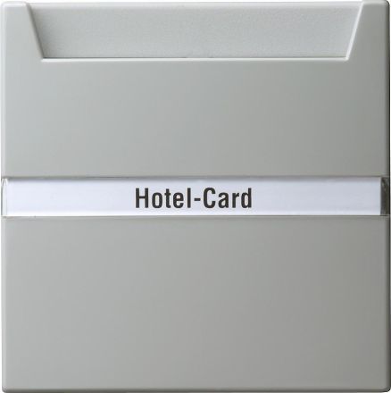 Gira 014042 Hotel Card Button Changeover (illuminated) BSF S-Color Grey