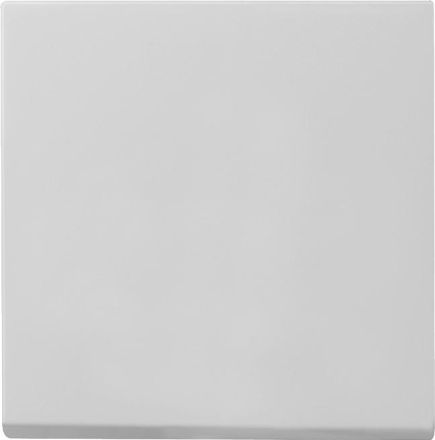 Gira 0296015 Sys 55 grey rocker