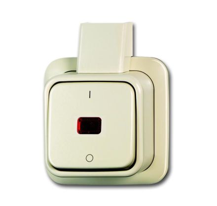 Busch-Jaeger 2601/2 SKAP rocker control switch, 2-pole, off switch white