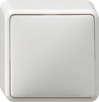 Gira 010213 rocker switch off 2-pole surface-mounted pure white