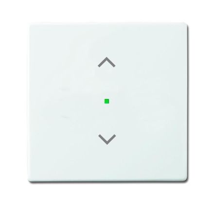 Busch-Jaeger 6232-10-84 Rocker switch, 1-way, with symbol 'blind' studio white